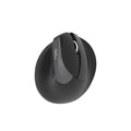 Mouse Sem Fio Ergonômico Aplus Tech Ergos 541